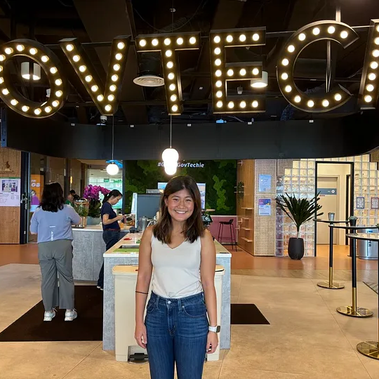 GovTech Internship Image